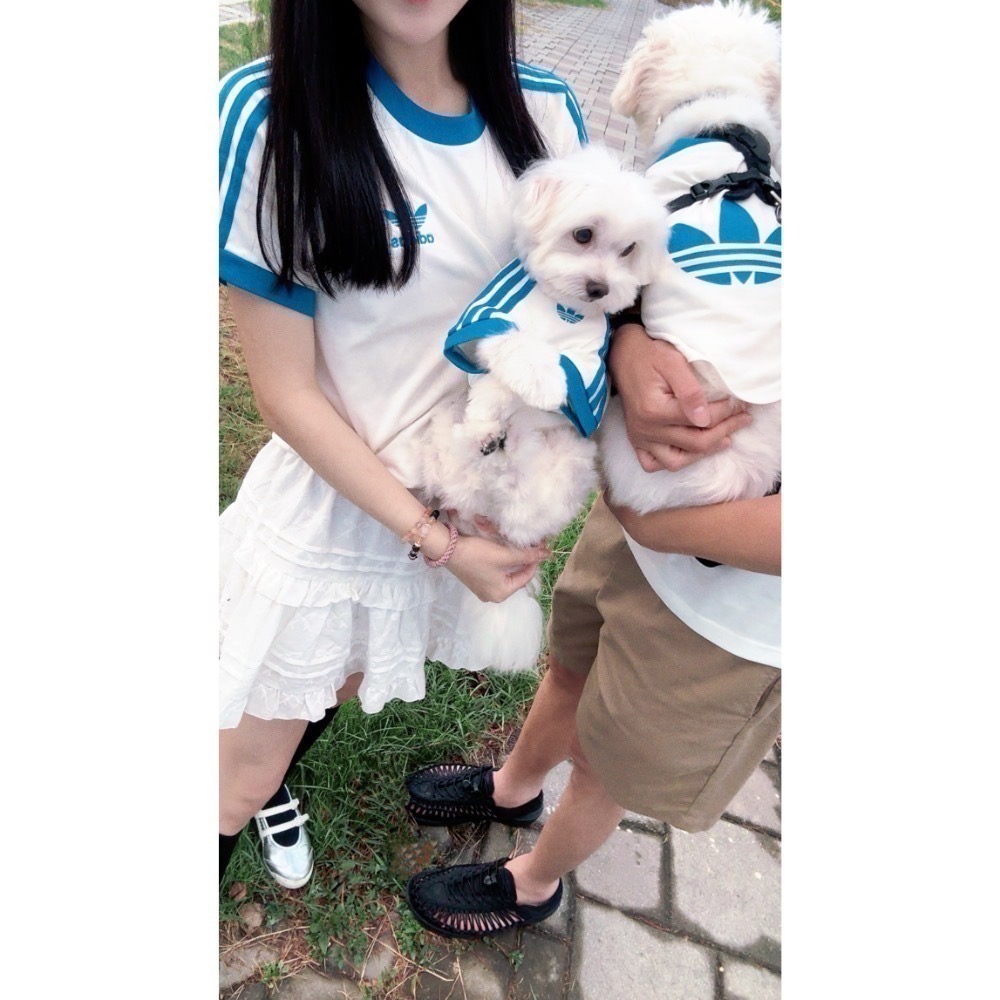 【預購】adidas originals 上海限定寵物系列代購 愛迪達寵物親子裝 adicolor 運動短袖 短T賣場-細節圖6