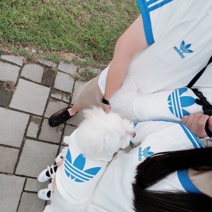 【預購】adidas originals 上海限定寵物系列代購 愛迪達寵物親子裝 adicolor 運動短袖 短T賣場-細節圖7
