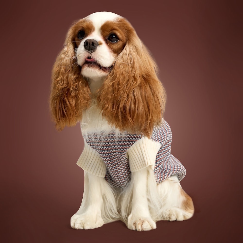 【預購】快速到貨⚡️ adidas originals 愛迪達HOLIDAY PACK SWT針織連帽毛衣-細節圖2