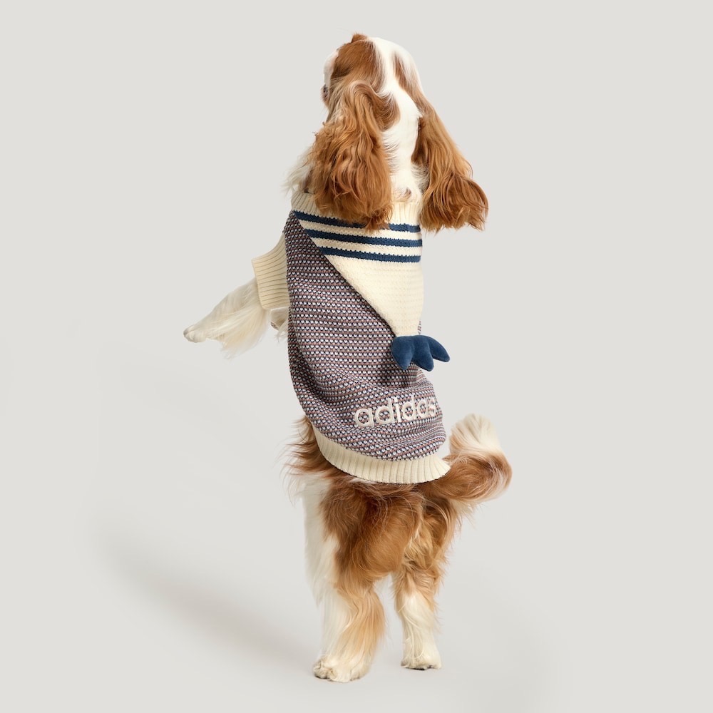 【預購】快速到貨⚡️ adidas originals 愛迪達HOLIDAY PACK SWT針織連帽毛衣-細節圖3