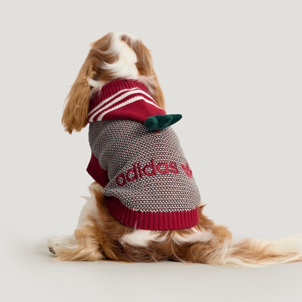 【預購】快速到貨⚡️ adidas originals 愛迪達HOLIDAY PACK SWT針織連帽毛衣-細節圖5