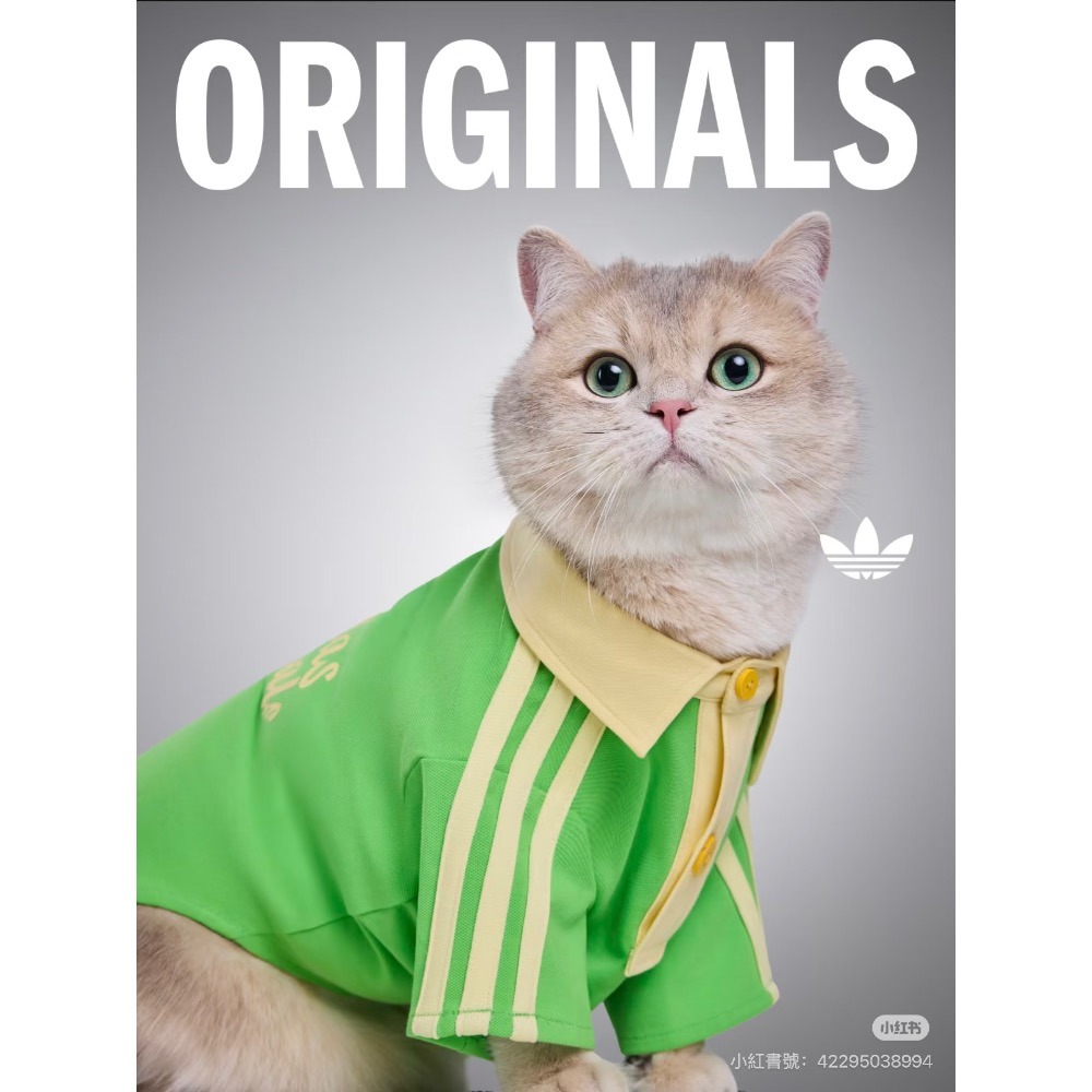 【預購】每日空運回台 adidas originals 中國限定寵物系列代購 愛迪達寵物衣 愛迪達寵物字母襯衫賣場-細節圖4