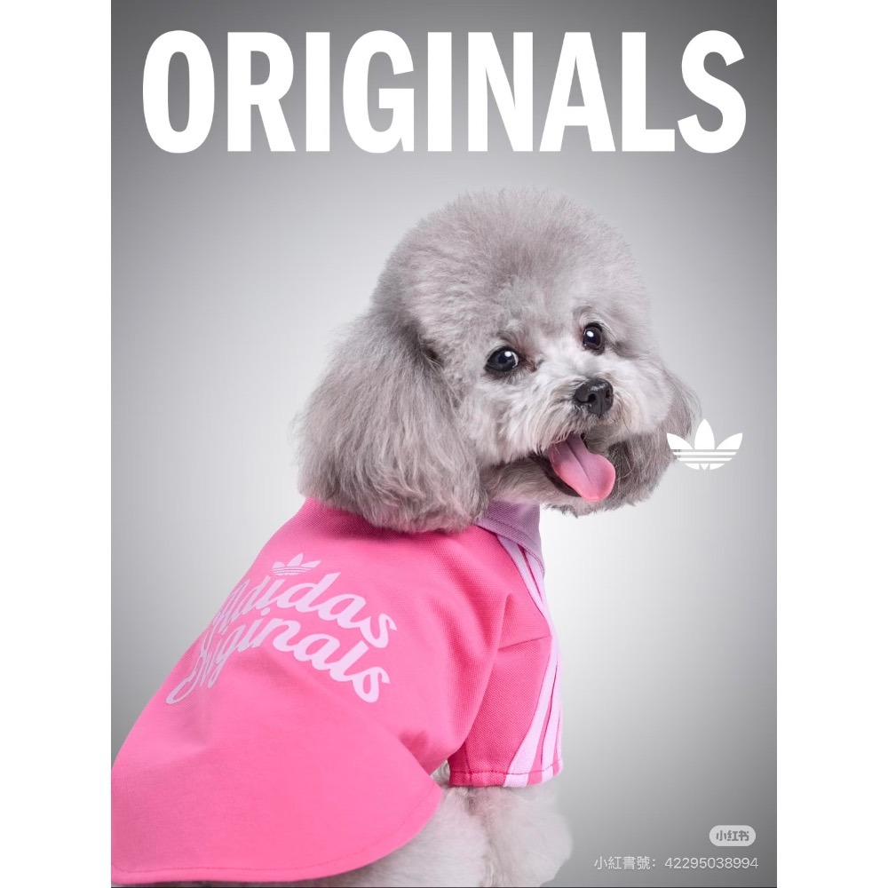 【預購】每日空運回台 adidas originals 中國限定寵物系列代購 愛迪達寵物衣 愛迪達寵物字母襯衫賣場-細節圖5
