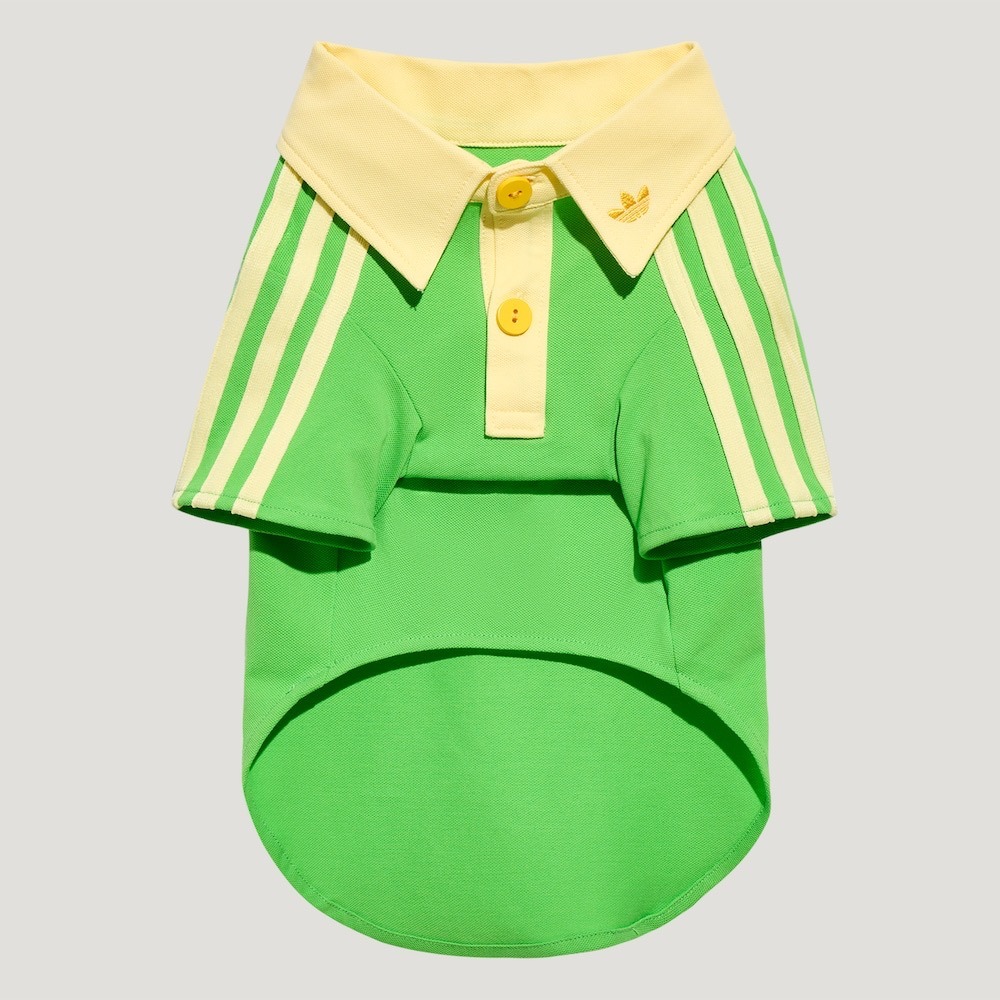 【預購】每日空運回台 adidas originals 中國限定寵物系列代購 愛迪達寵物衣 愛迪達寵物字母襯衫賣場-細節圖11