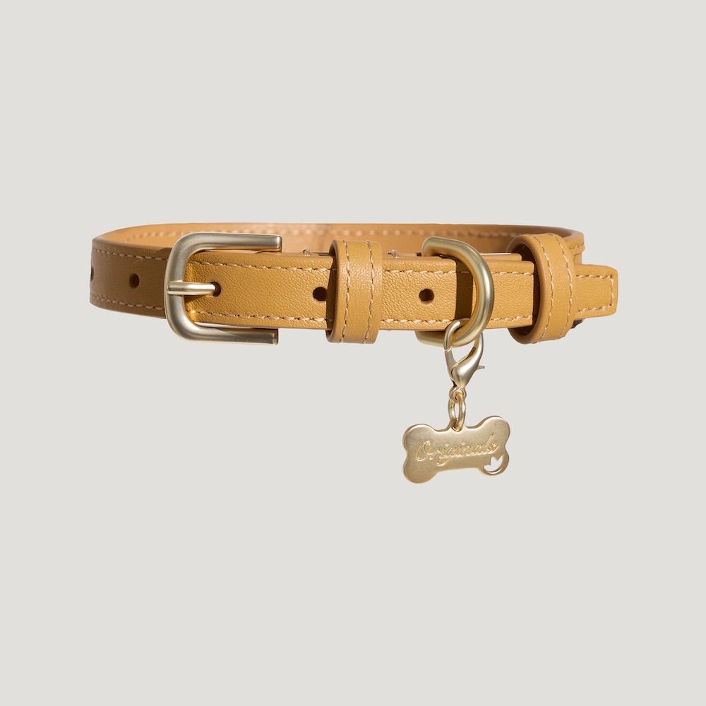 【預購】每日空運回台 adidas originals 中國限定寵物系列代購 愛迪達寵物項圈 皮革項圈 賣場-細節圖2