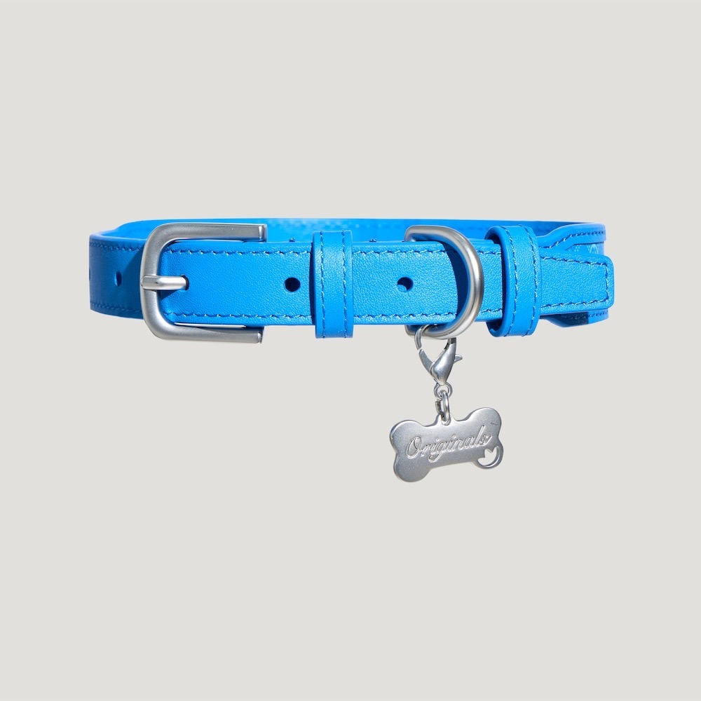 【預購】每日空運回台 adidas originals 中國限定寵物系列代購 愛迪達寵物項圈 皮革項圈 賣場-細節圖4