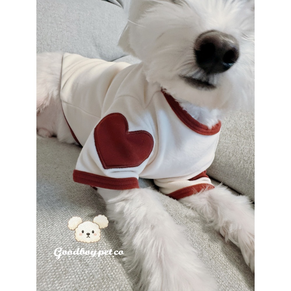 【現貨】快速到貨⚡️ 巧乖自訂款愛心衣 狗狗愛心衣 貓咪衣服 狗狗衣服 大狗衣服-細節圖4