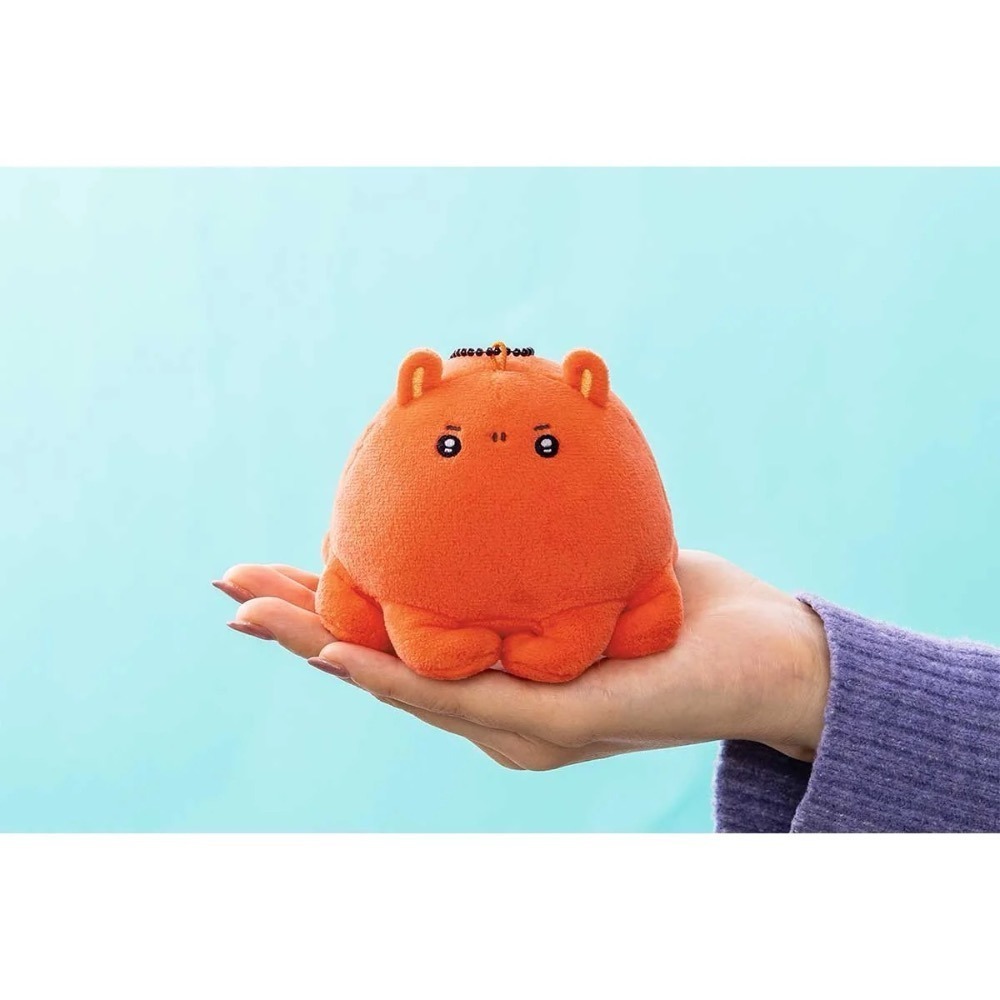 自嘲熊 nagano 水族館-細節圖5