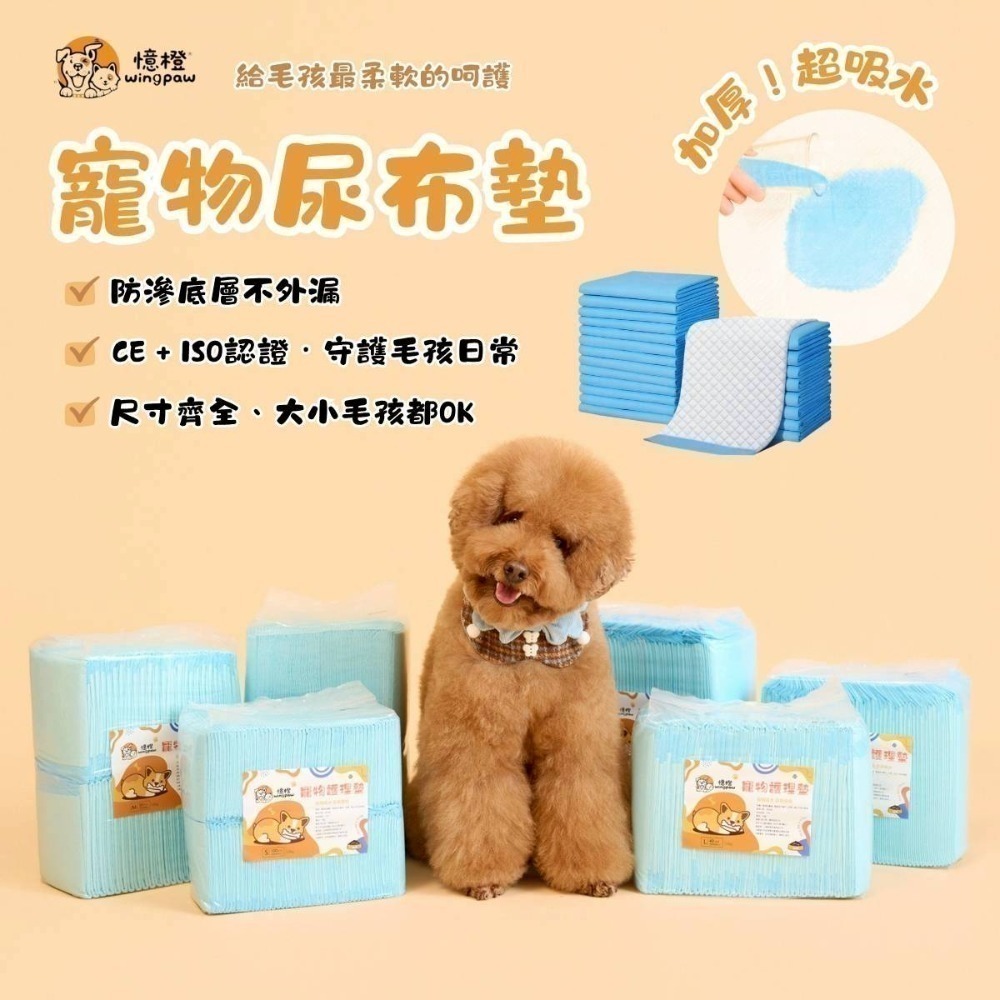 【WingPaw憶橙】高品質寵物尿布墊 1.2KG經濟款-細節圖2