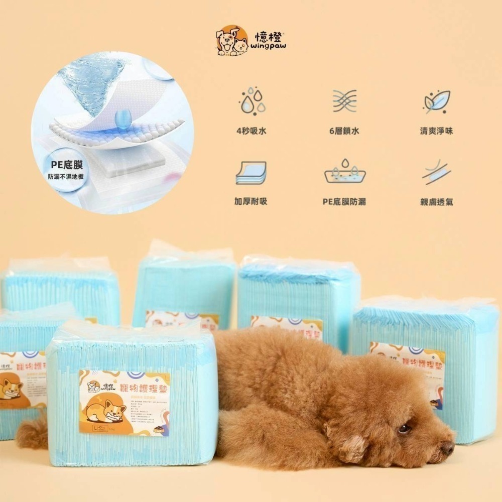 【WingPaw憶橙】高品質寵物尿布墊 1.2KG經濟款-細節圖3