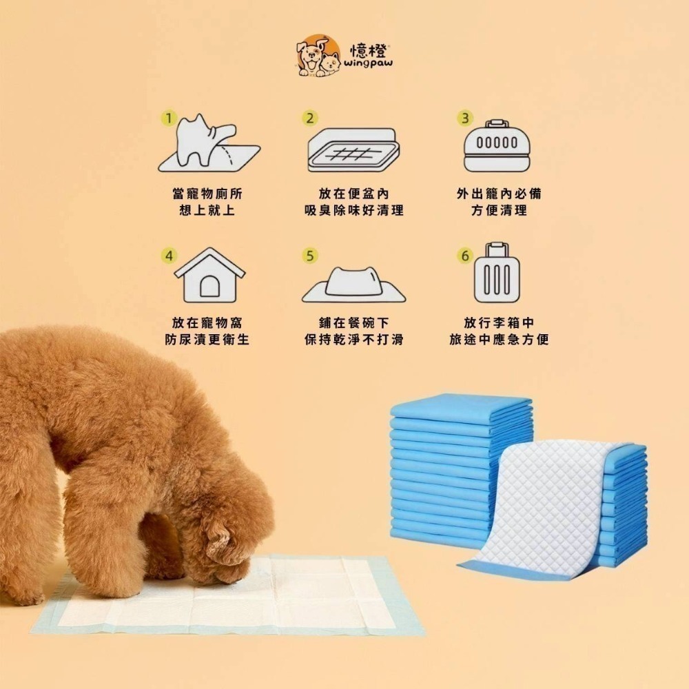 【WingPaw憶橙】高品質寵物尿布墊 1.2KG經濟款-細節圖6