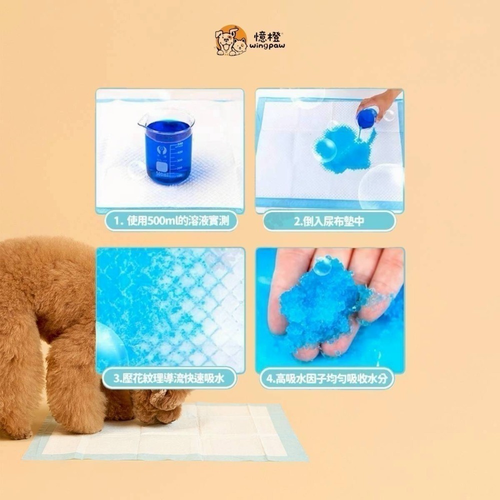 【WingPaw憶橙】高品質寵物尿布墊1.5KG加厚款-細節圖5