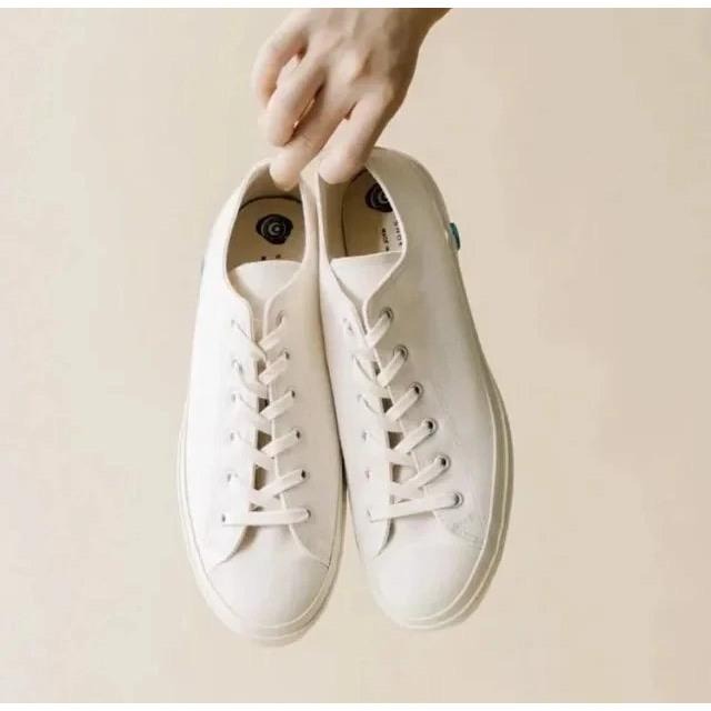 【LUNA-K】日本Shoes Like Pottery 帆布鞋 小白鞋 柔軟防滑透氣＊EU 36~40。A50402-細節圖2