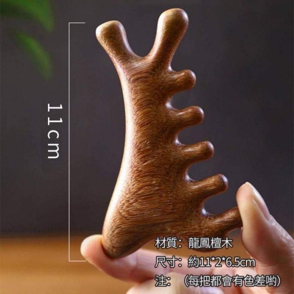MU 現貨  多功能四合一 龍鳳檀木按摩梳-細節圖3