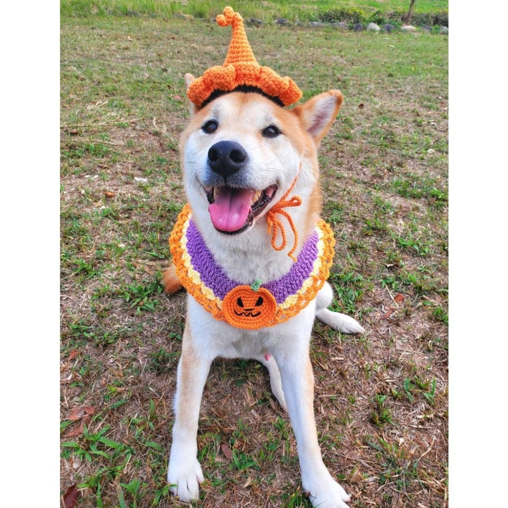 可愛針織裝份飾品 寵物萬聖節領巾 狗狗貓咪帽子-細節圖4