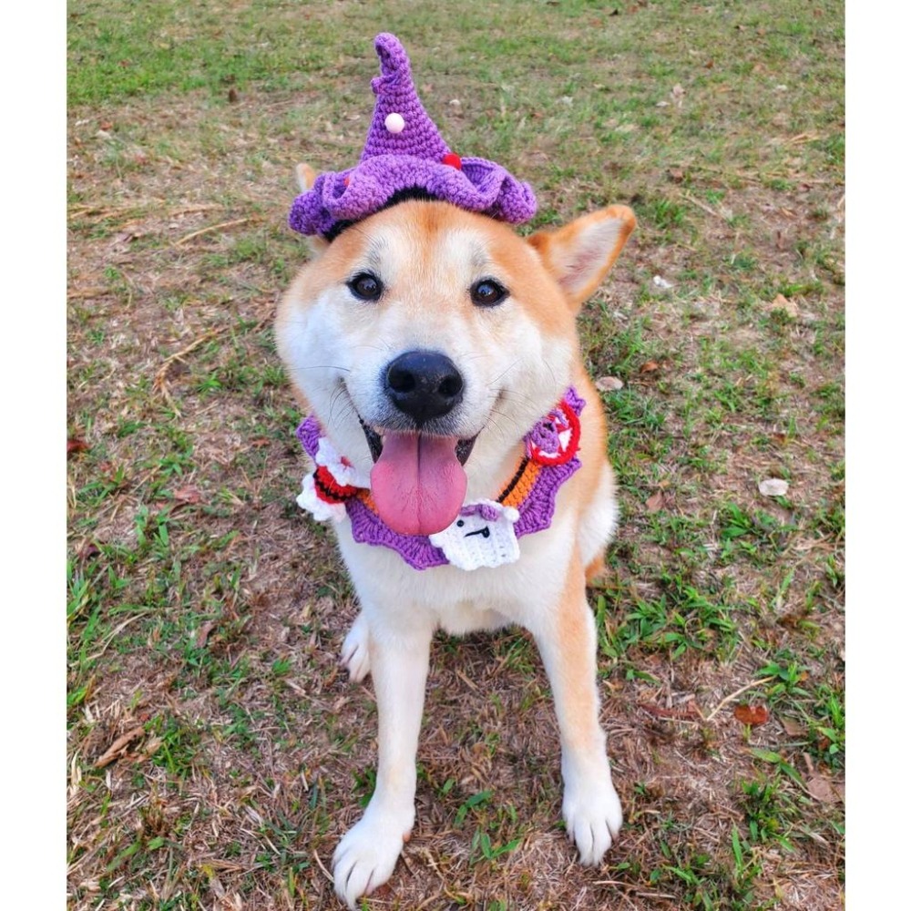 可愛針織裝份飾品 寵物萬聖節領巾 狗狗貓咪帽子-細節圖5