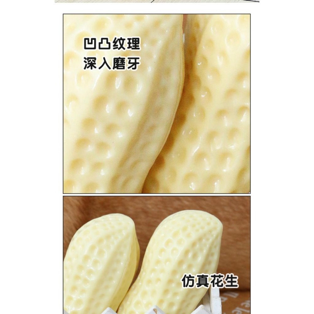 Tpr彈力花生寵物發聲玩具 仿真花生好咬好玩又有趣-細節圖6