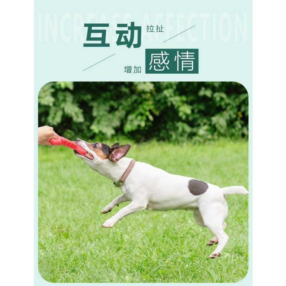 互動拉扯型寵物TPR發聲玩具-細節圖6