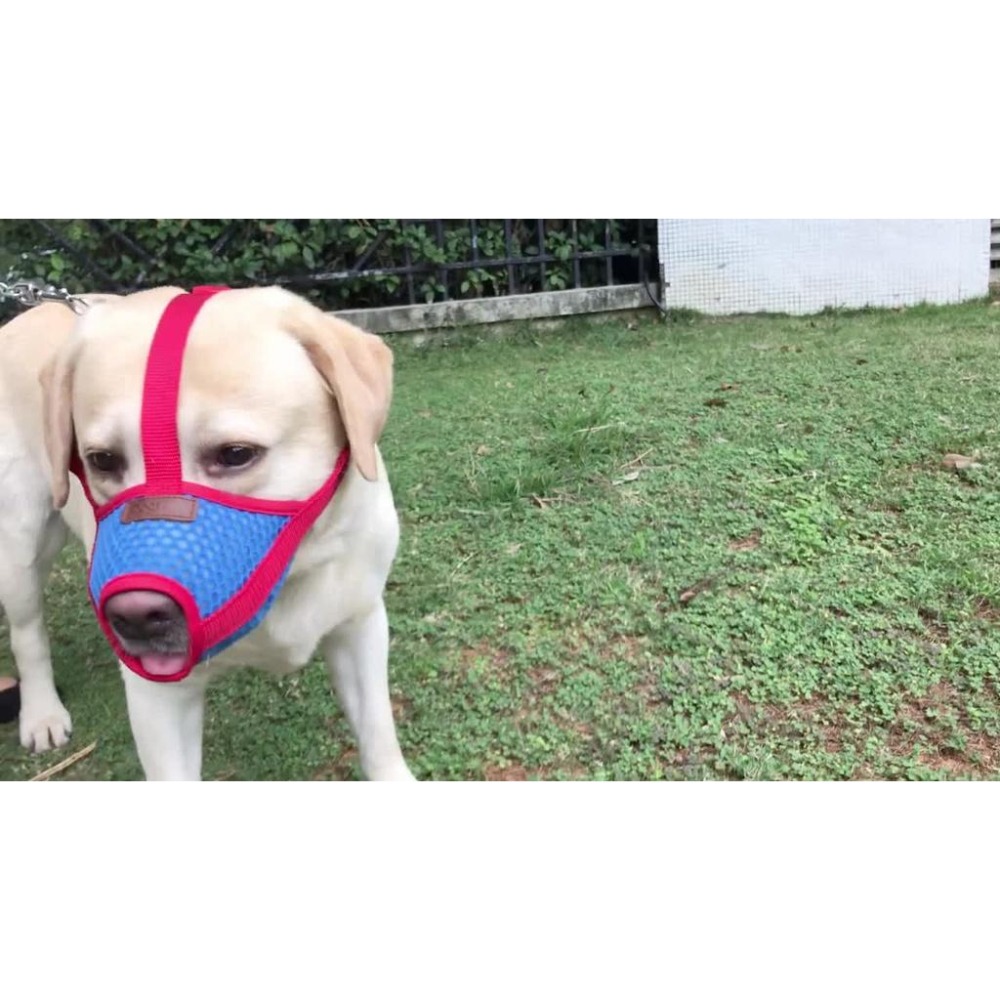 防叫防咬寵物嘴套 防亂吃東西狗口罩 透氣布面罩-細節圖4