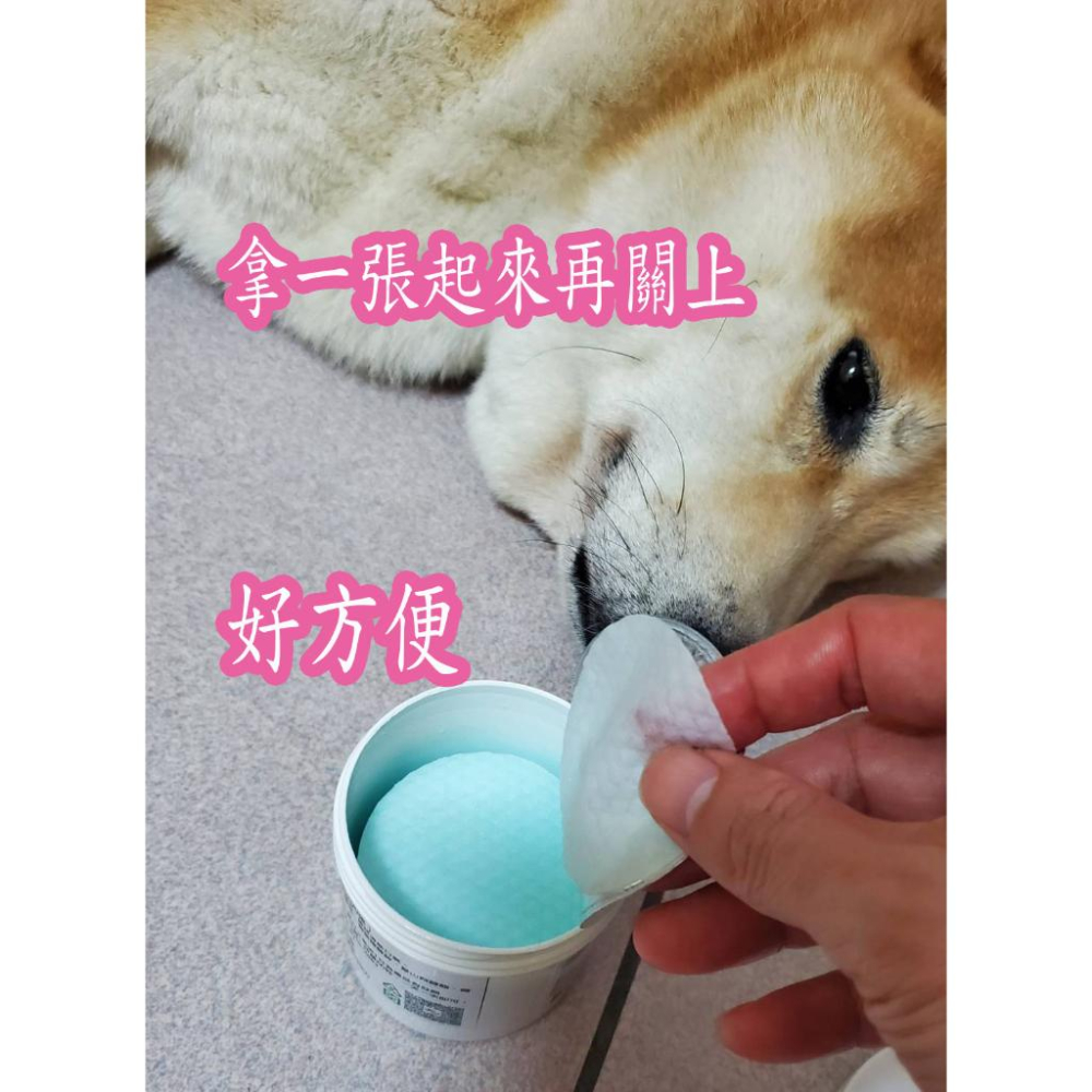 推薦潔牙方便好用的WellnergyPets犬貓牙齒濕紙巾 口腔護理 口腔保健-細節圖6