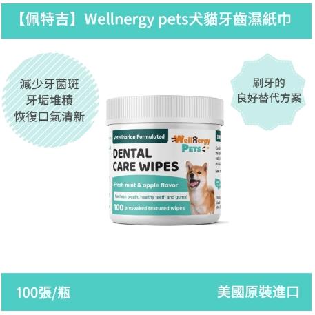 推薦潔牙方便好用的WellnergyPets犬貓牙齒濕紙巾 口腔護理 口腔保健-細節圖8