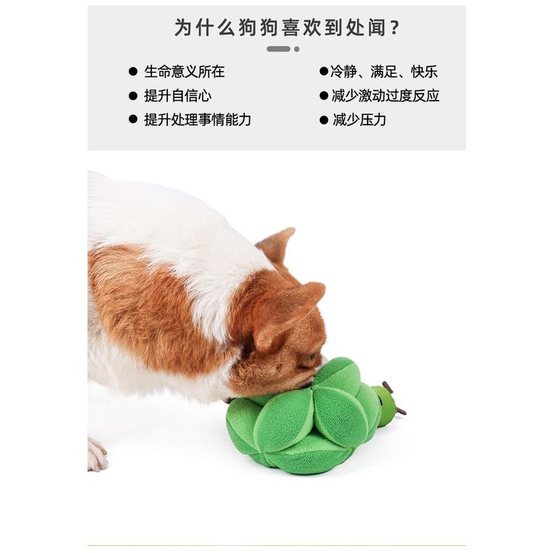可藏食寵物嗅聞發聲玩具花椰菜也可變成狗狗嗅聞球哦 裝飼料直接變慢食玩具-細節圖4