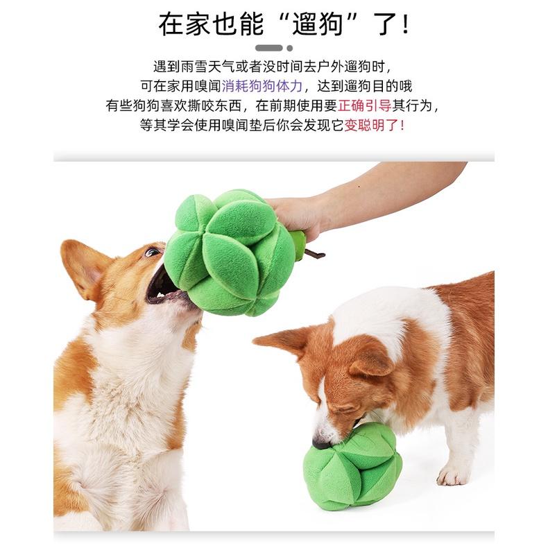 可藏食寵物嗅聞發聲玩具花椰菜也可變成狗狗嗅聞球哦 裝飼料直接變慢食玩具-細節圖6