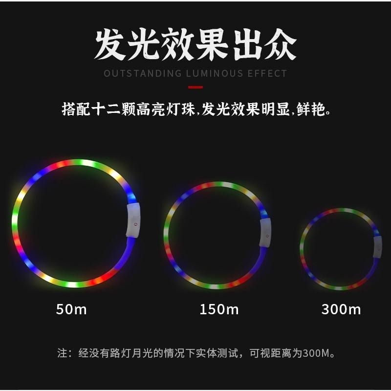 USB寵物發光項圈 流光12燈泡款 回頭率超高又顯眼更安全-細節圖2