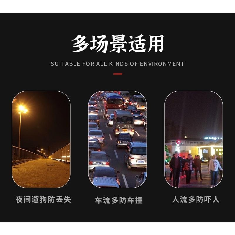 USB寵物發光項圈 流光12燈泡款 回頭率超高又顯眼更安全-細節圖3