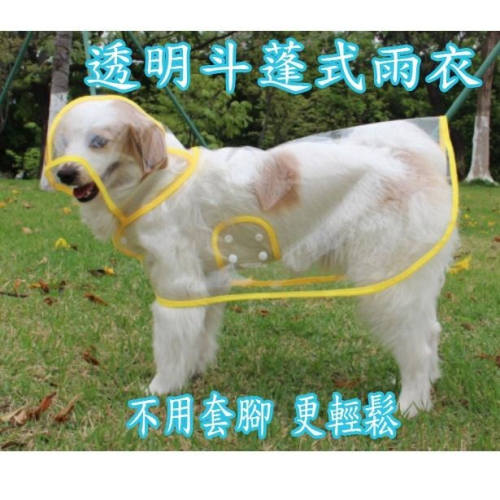 大中小型狗狗斗蓬式透明雨衣 寵物免套腳式雨衣