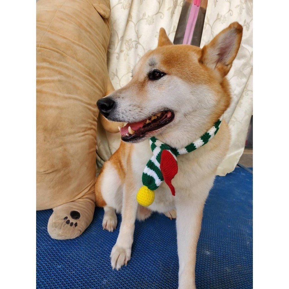 可愛寵物圍巾 狗狗聖誕裝飾 貓咪保暖圍巾-細節圖2