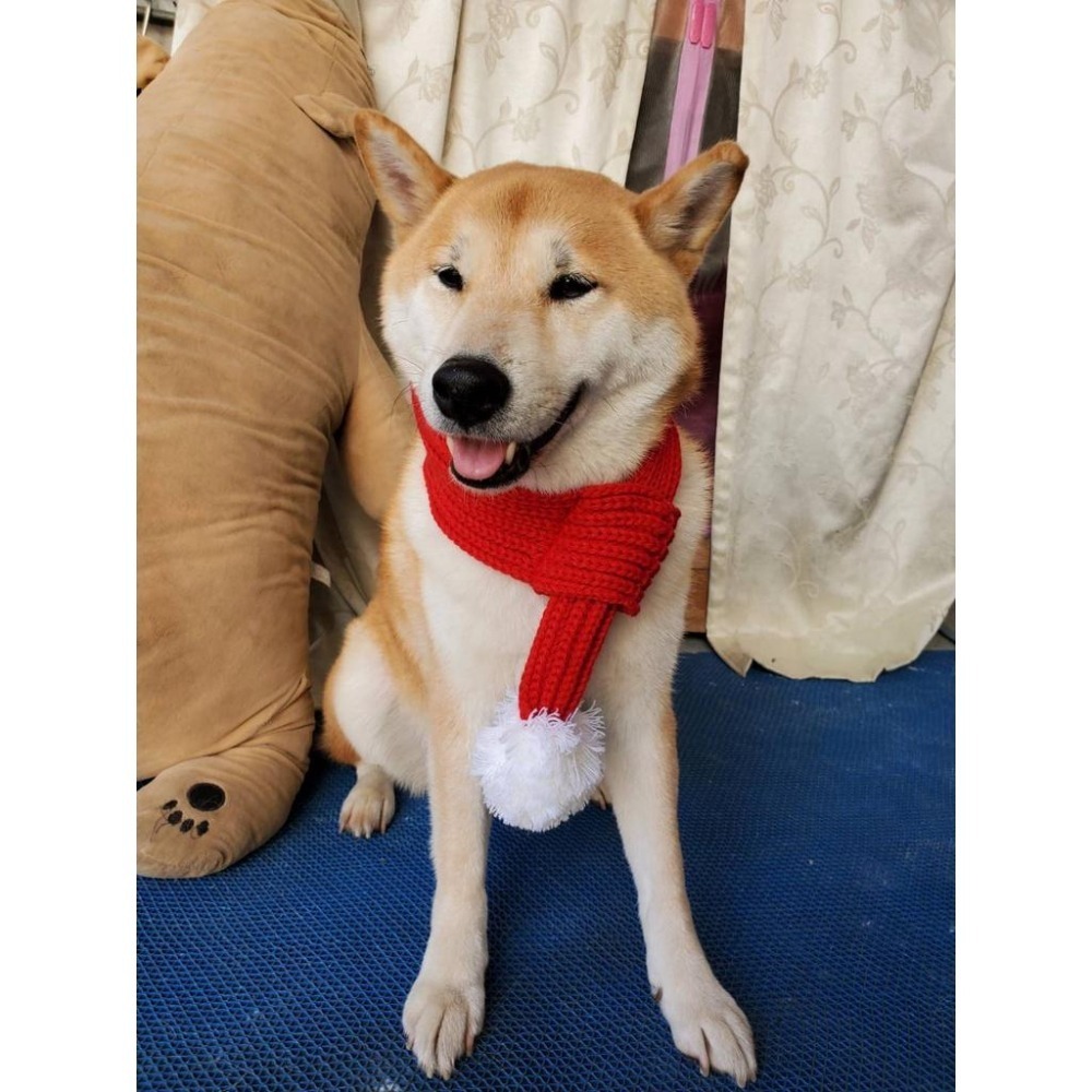 可愛寵物圍巾 狗狗聖誕裝飾 貓咪保暖圍巾-細節圖3
