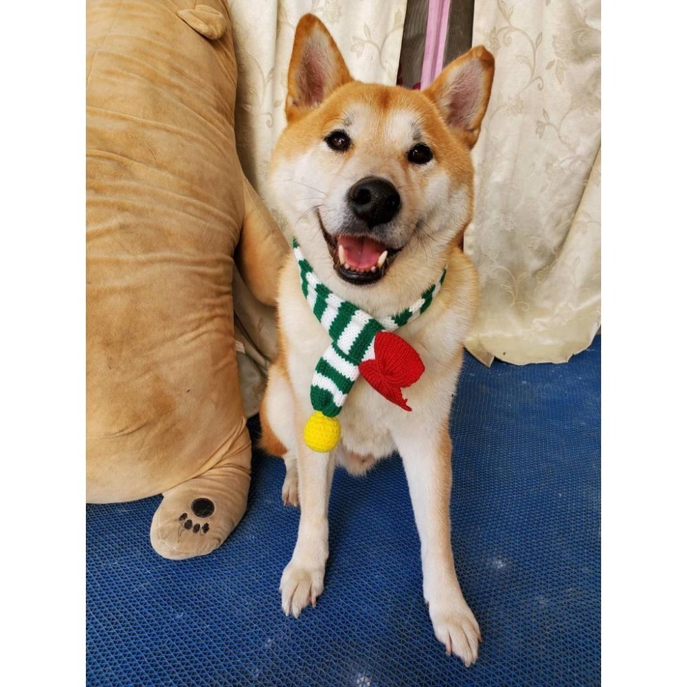 可愛寵物圍巾 狗狗聖誕裝飾 貓咪保暖圍巾-細節圖4