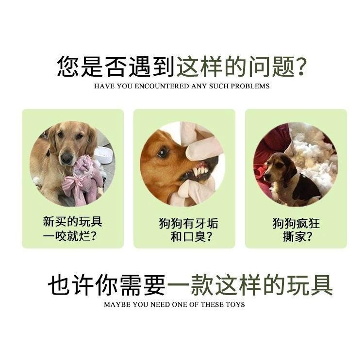 寵物TPR發聲橄欖球 河豚球玩具 互動好玩好好咬-細節圖7