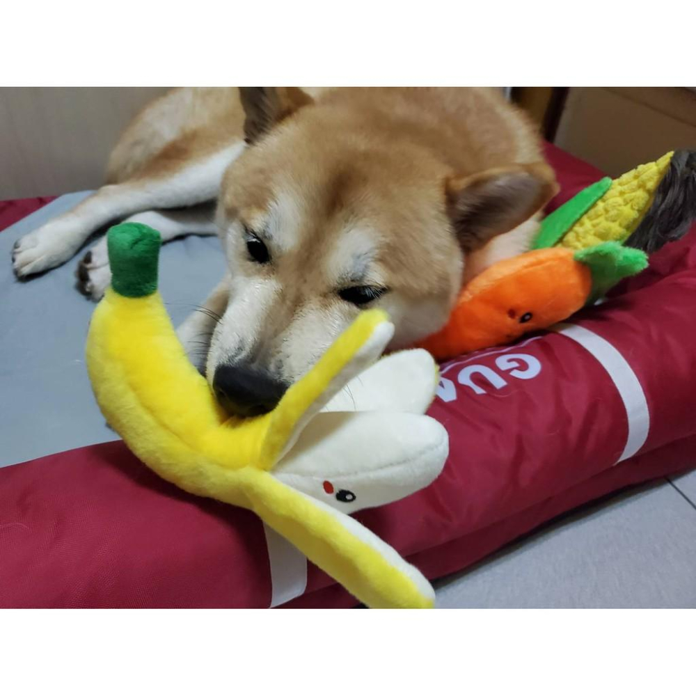 狗狗玩具蔬菜水果 香蕉 玉米 紅蔔蔔發聲玩具 發聲紙寵物玩具-細節圖8