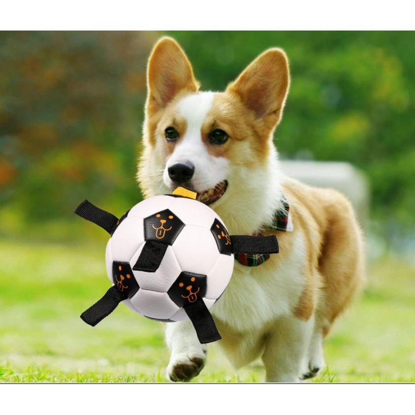 寵物足球帶繩款 互動更有趣 消耗體力狗狗玩具-細節圖2