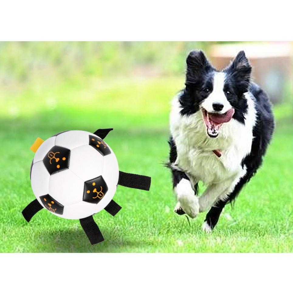 寵物足球帶繩款 互動更有趣 消耗體力狗狗玩具-細節圖4