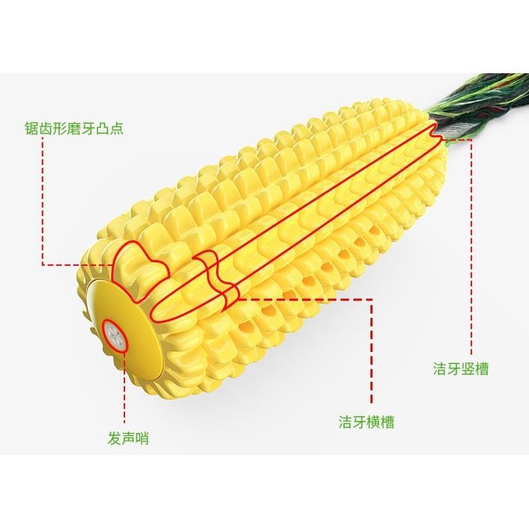 新款玉米磨牙棒發聲玩具 狗狗潔牙玩具 會發聲更有趣-細節圖2