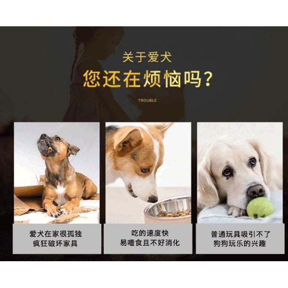 寵物益智覓食玩具盤 慢食碗 漏食盤-細節圖2