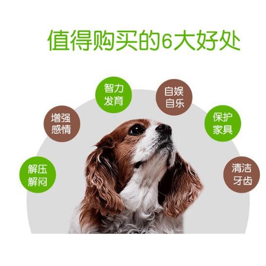 寵物益智覓食玩具盤 慢食碗 漏食盤-細節圖3