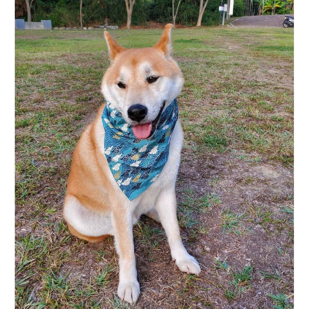 可愛帥氣寵物三角巾 雙層面料口水巾 狗狗領巾-細節圖7