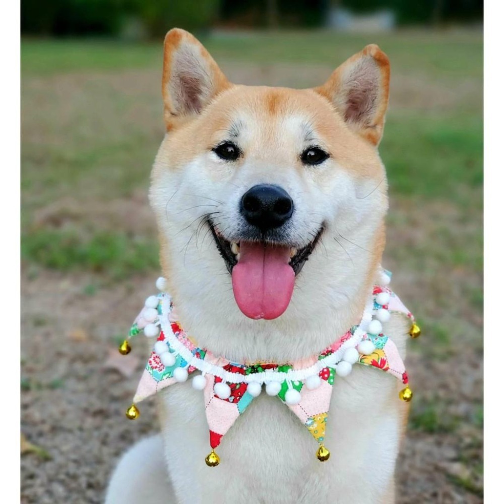 可愛寵物領巾 口水巾 狗狗領巾 貓咪領巾-細節圖4