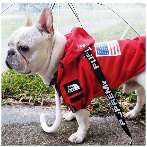 狗狗帥氣雨衣衝鋒衣 寵物雨衣 狗狗時尚衣服 平常沒下雨穿帥帥也可以-細節圖8