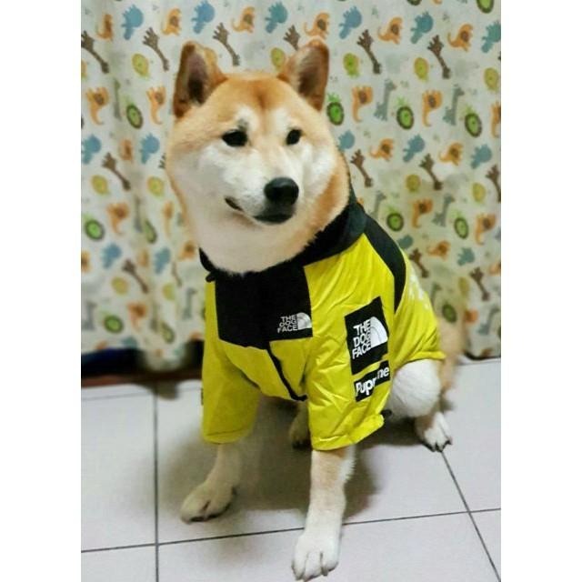 寵物帥氣雨衣 柴犬沖鋒衣 狗狗雨衣 狗臉雨衣 新潮雨衣-細節圖3