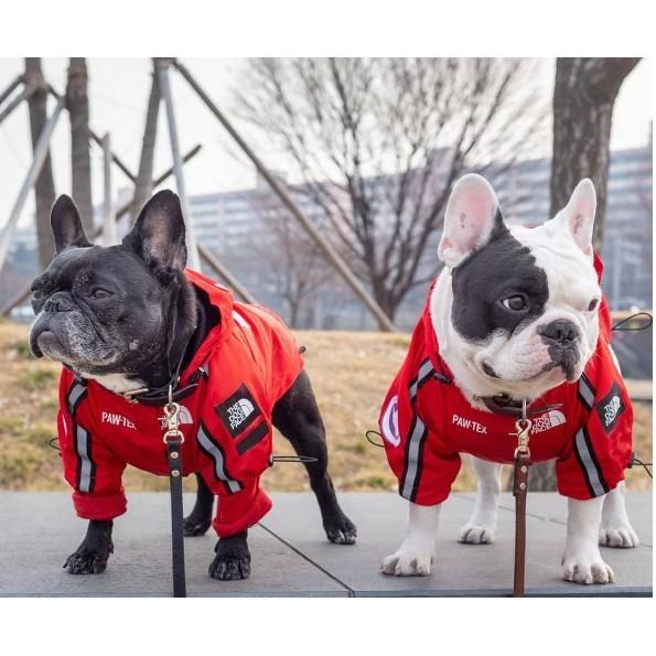 寵物帥氣雨衣 柴犬沖鋒衣 狗狗雨衣 狗臉雨衣 新潮雨衣-細節圖6