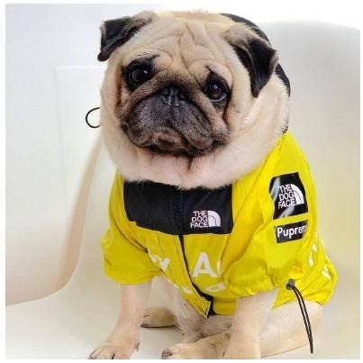 寵物帥氣雨衣 柴犬沖鋒衣 狗狗雨衣 狗臉雨衣 新潮雨衣-細節圖7