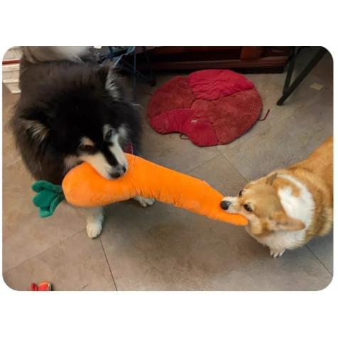 仿真大紅蘿蔔發聲玩具 寵物發泄玩具 葉子內有響紙-細節圖5