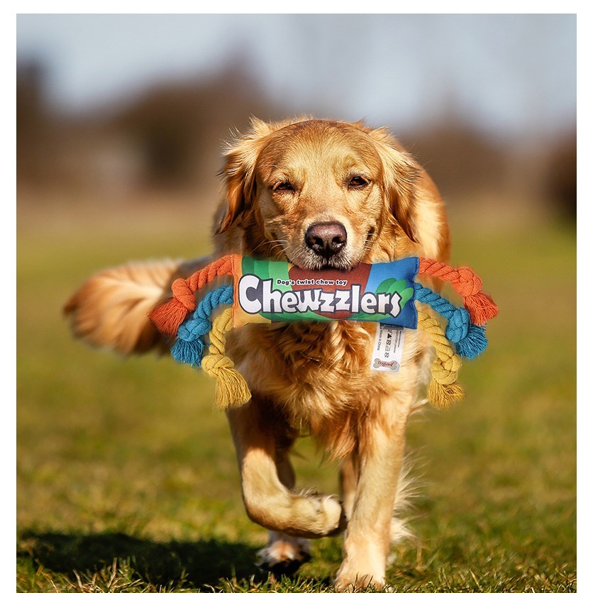 耐咬彩虹繩結發聲寵物玩具  彩虹糖果 彩虹球 彩虹啞鈴狗狗玩具-細節圖2