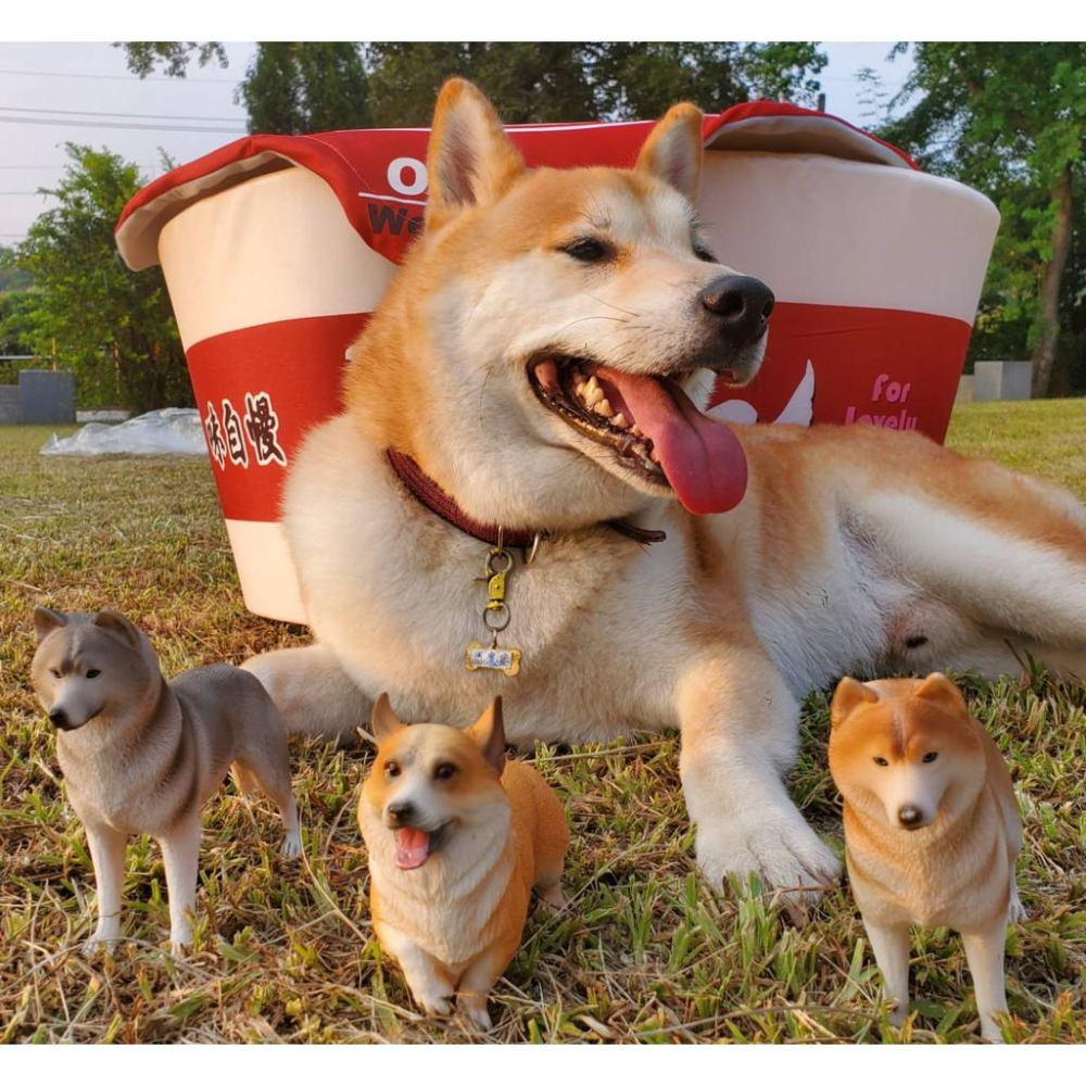 柯基公仔 柯基模型 柯基擺飾 柴犬公仔-細節圖3