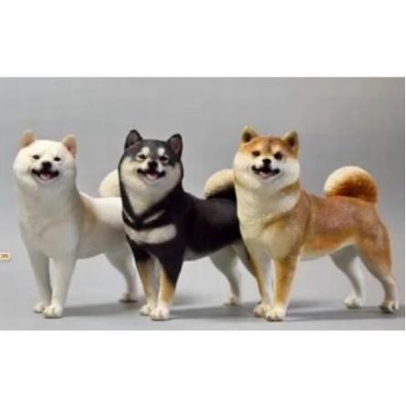 柯基公仔 柯基模型 柯基擺飾 柴犬公仔-細節圖8